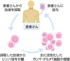 ガンマ・デルタT細胞療法の概要