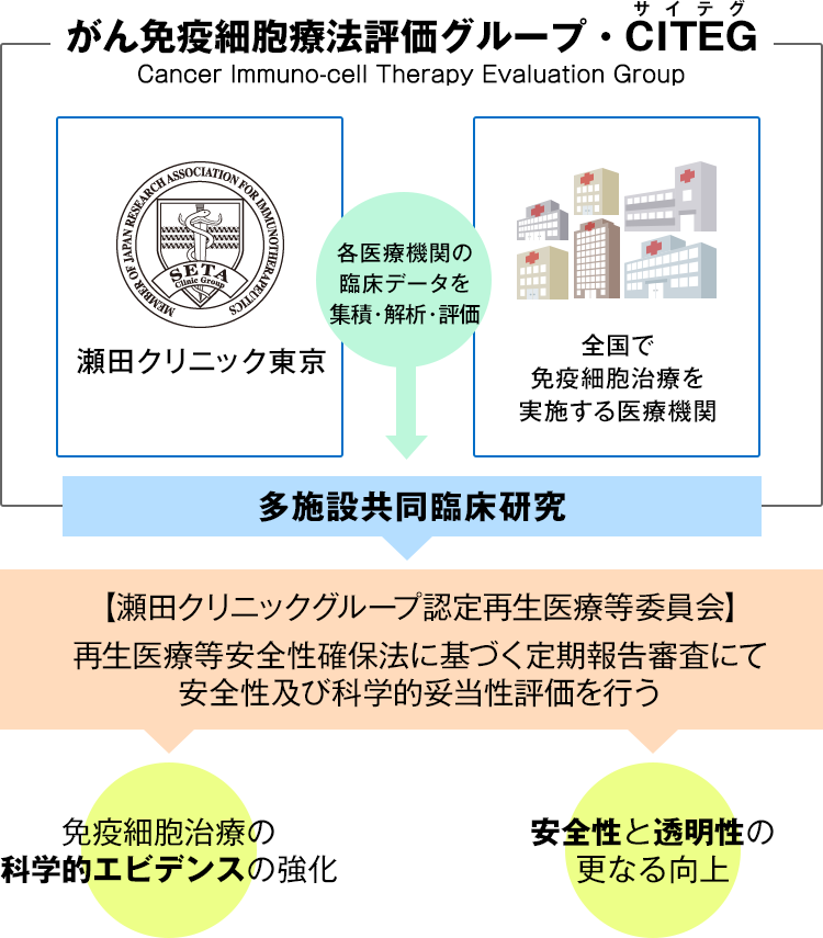 がん免疫細胞療法評価グループ・CITEG(サイテグ)