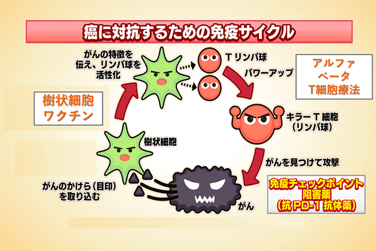 癌に対抗するための免疫システム