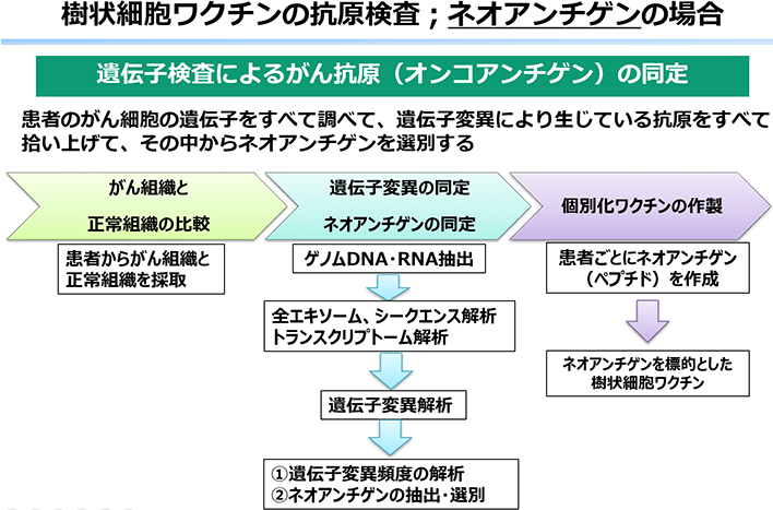 樹状細胞ワクチンの抗原検査；ネオアンチゲンの場合