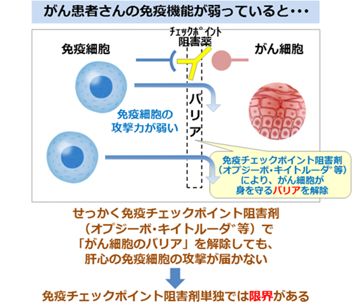 免疫細胞治療とオプジーボ