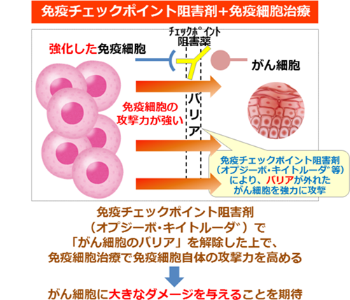 免疫細胞治療とオプジーボ