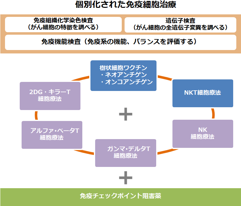 個別化された免疫細胞治療