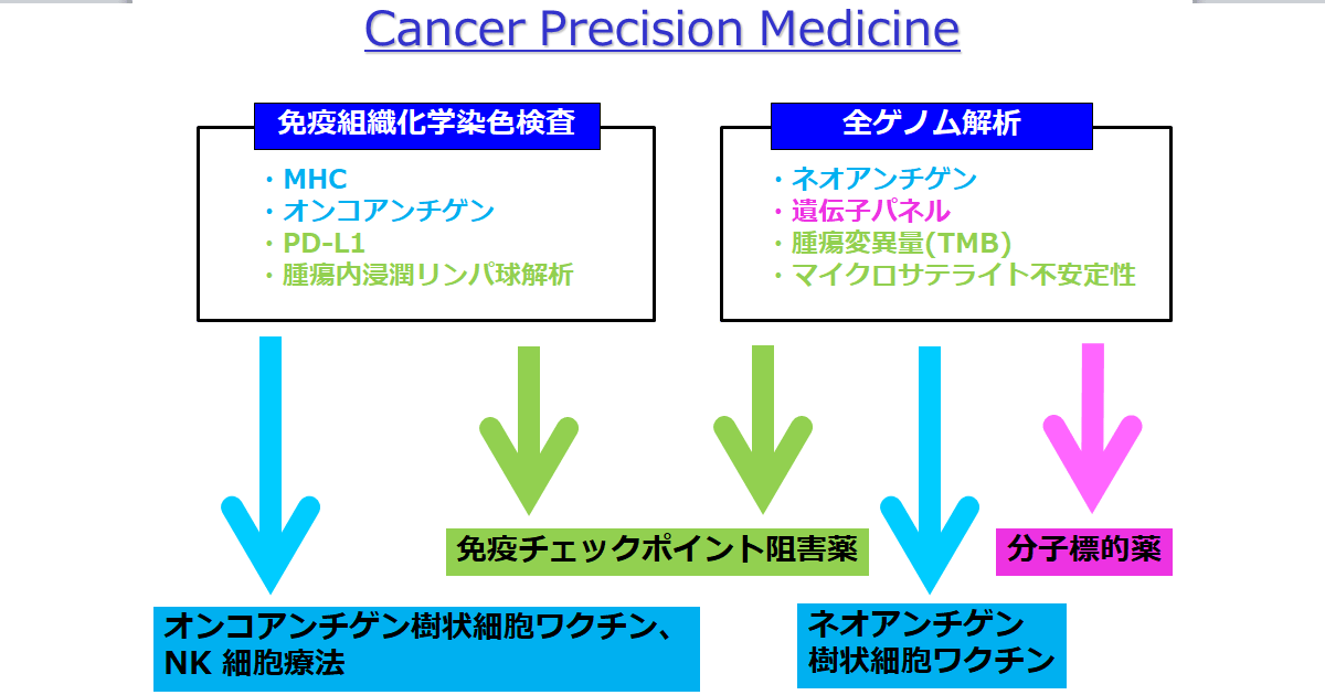 個別化免疫療法とCancer precision medicine｜瀬田クリニック通信
