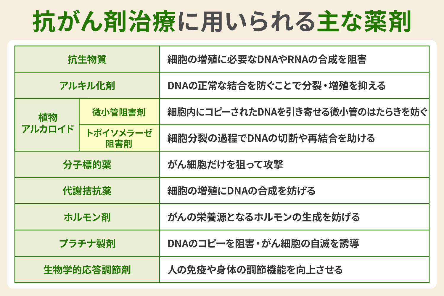 抗がん剤治療に用いられる主な薬剤