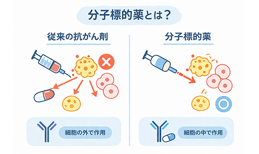分子標的薬とは？用いられるがんの種類や治療に用いるメリット・デメリットを解説
