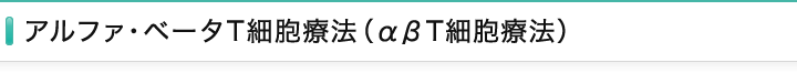 アルファ・ベータT細胞療（αβT細胞療法）