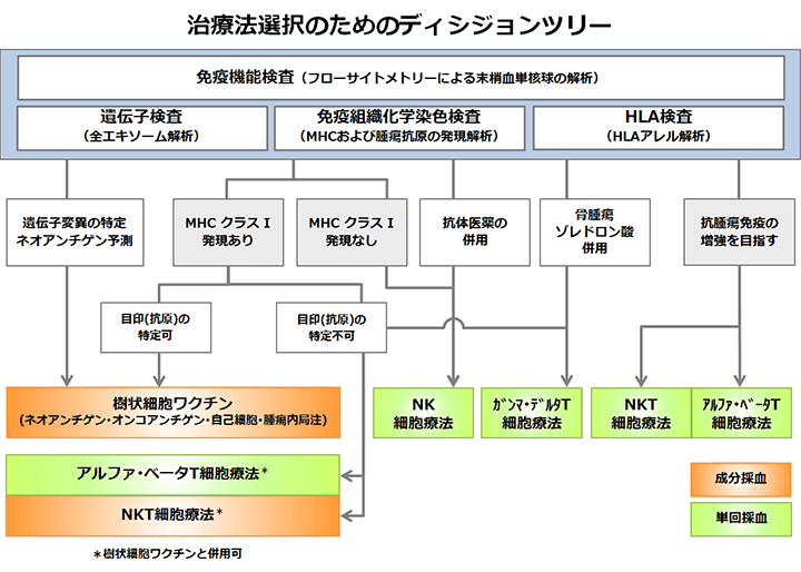 【免疫細胞治療の選択・個別化の試み】（注）ここで挙げた選択チャートはあくまで一例です。実際は診察の中で医師との相談を踏まえ決定されます