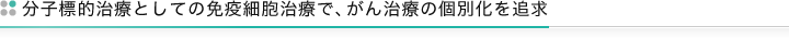 分子標的治療としての免疫細胞治療で、がん治療の個別化を追求
