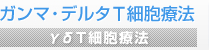 ガンマ・デルタT細胞療法（γδT細胞療法）