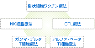 瀬田クリニックグループの免疫細胞治療