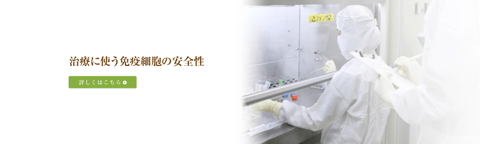 治療に使う免疫細胞の安全性
