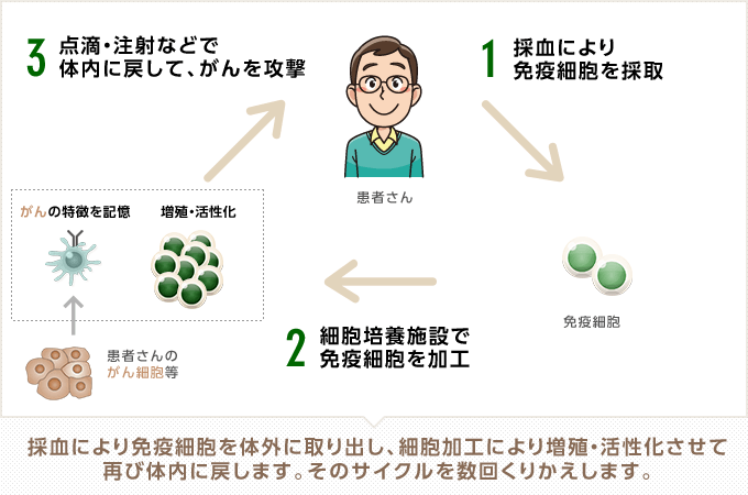 免疫細胞治療のしくみ