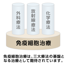 免疫細胞治療は、三大療法の基盤となる治療として期待されています。