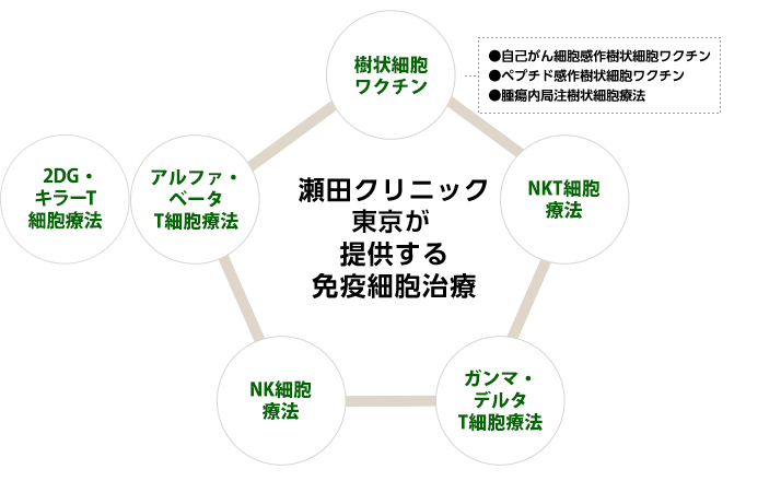 瀬田クリニックグループが提供する免疫細胞治療