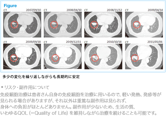 多少の変化を繰り返しながらも長期的に安定