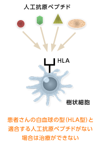 人工抗原ペプチド