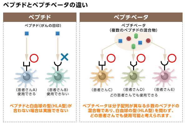 ペプチドとペプチベータの違い