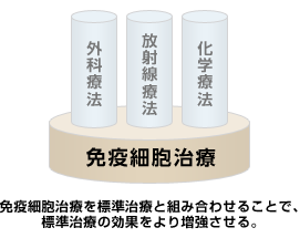 免疫細胞治療を標準治療と組合せることで、標準治療の効果をより増強させる。