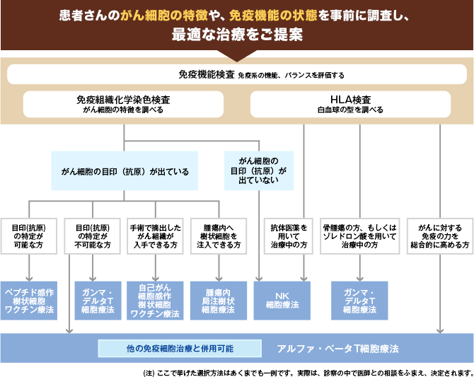 患者さんのがん細胞の特徴や、免疫機能の状態を事前に調査し、最適な治療をご提案