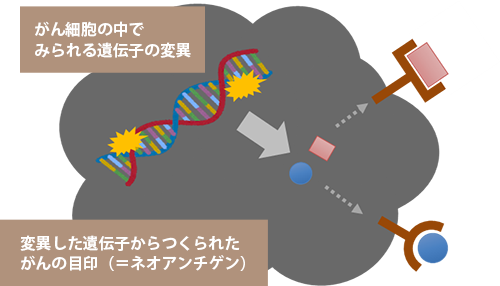 ネオアンチゲンとは