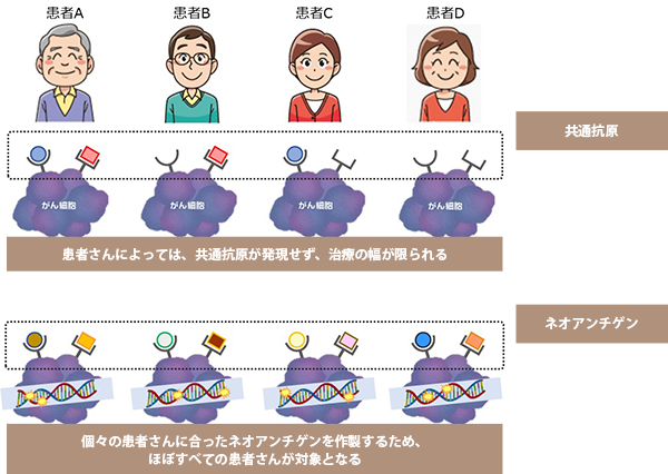 従来の樹状細胞ワクチンとの違い