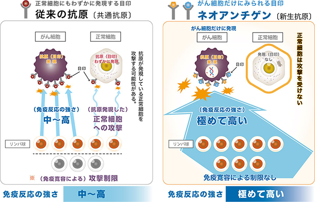 従来の樹状細胞ワクチンとの違い