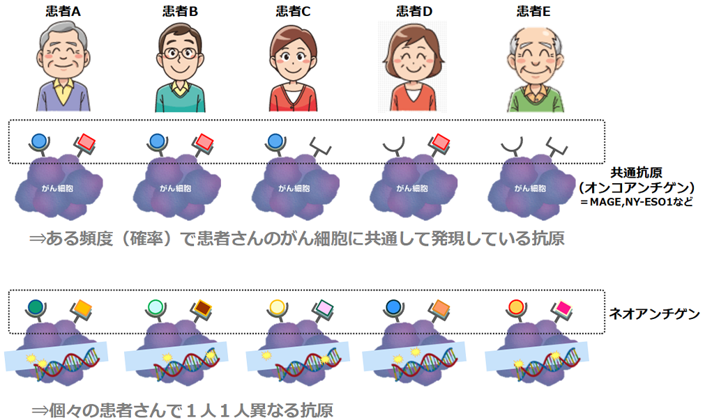 ネオアンチゲン樹状細胞ワクチンとは