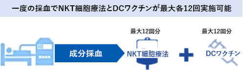 NKT細胞療法＋樹状細胞ワクチンの併用