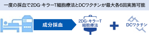 一度の採血で2DG･キラーT細胞療法とDCワクチンが最大各6回実施可能